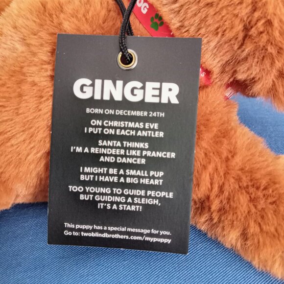Braille Guide Dog Ginger Reindeer Two Blind Brothers NWT Plush Service Animal 9" - Picture 4 of 9